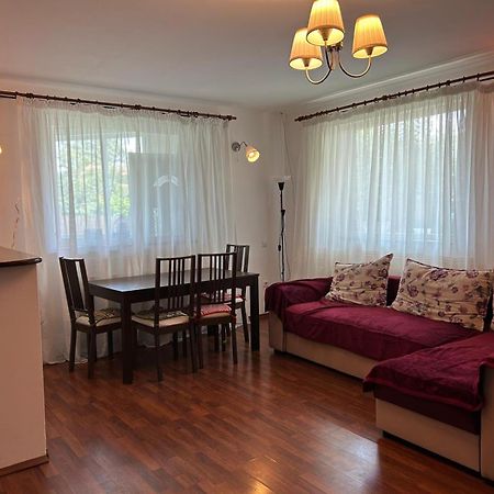 Vila De Inchiriat Aproape De Therme Balotesti Εξωτερικό φωτογραφία