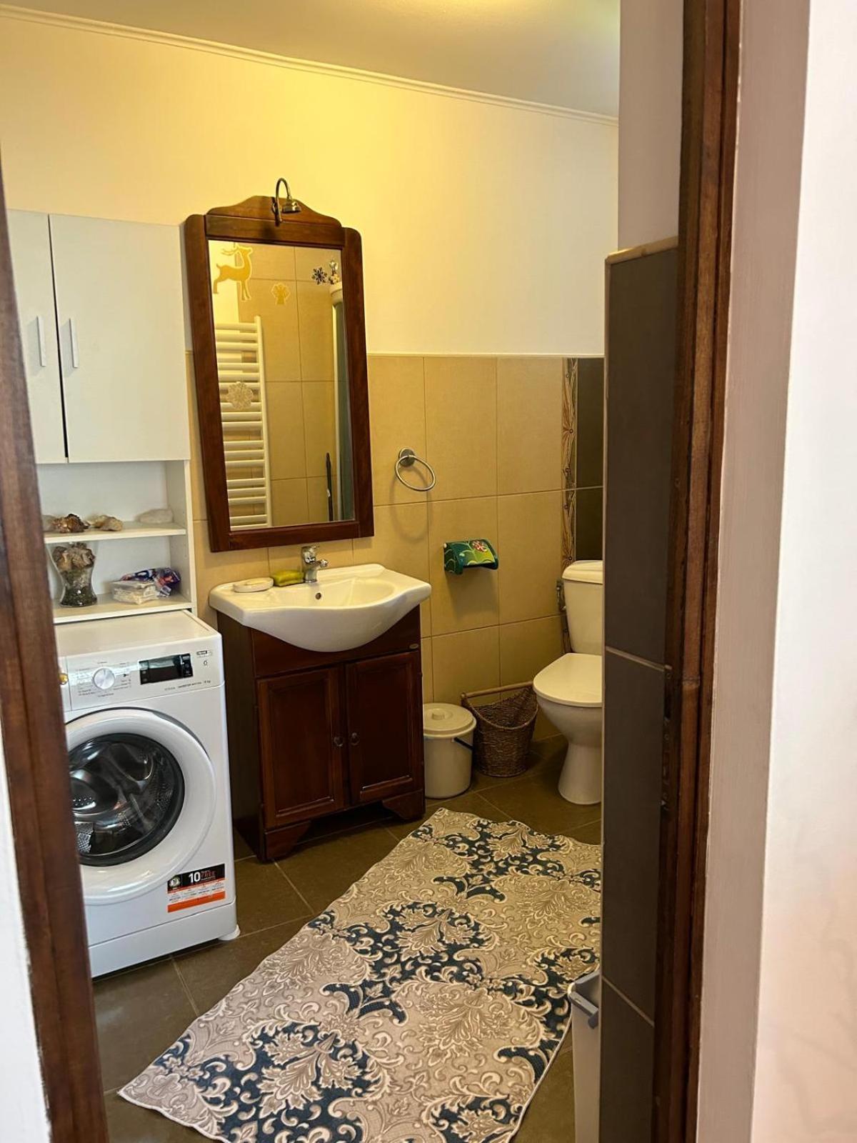 Vila De Inchiriat Aproape De Therme Balotesti Εξωτερικό φωτογραφία