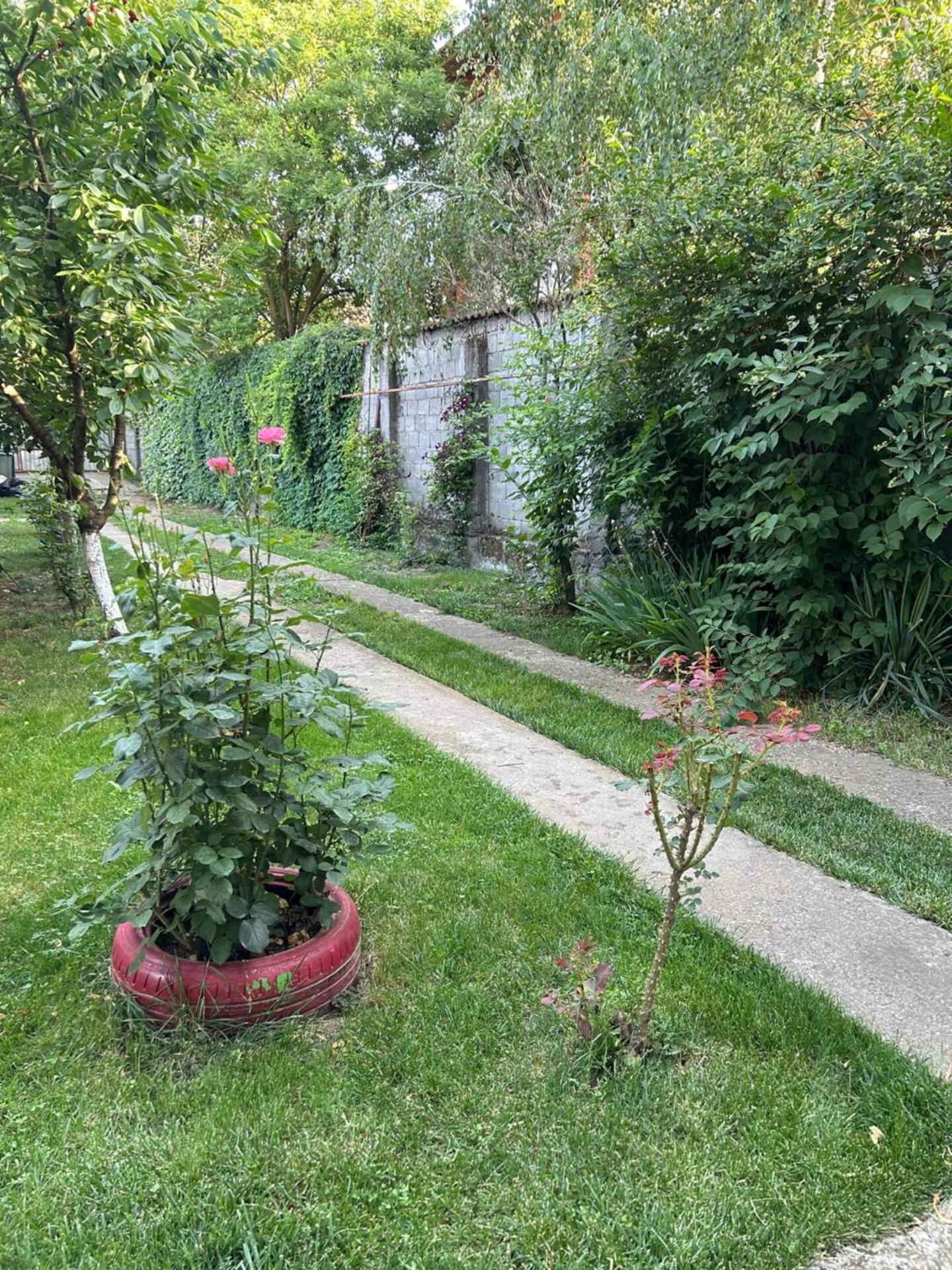 Vila De Inchiriat Aproape De Therme Balotesti Εξωτερικό φωτογραφία